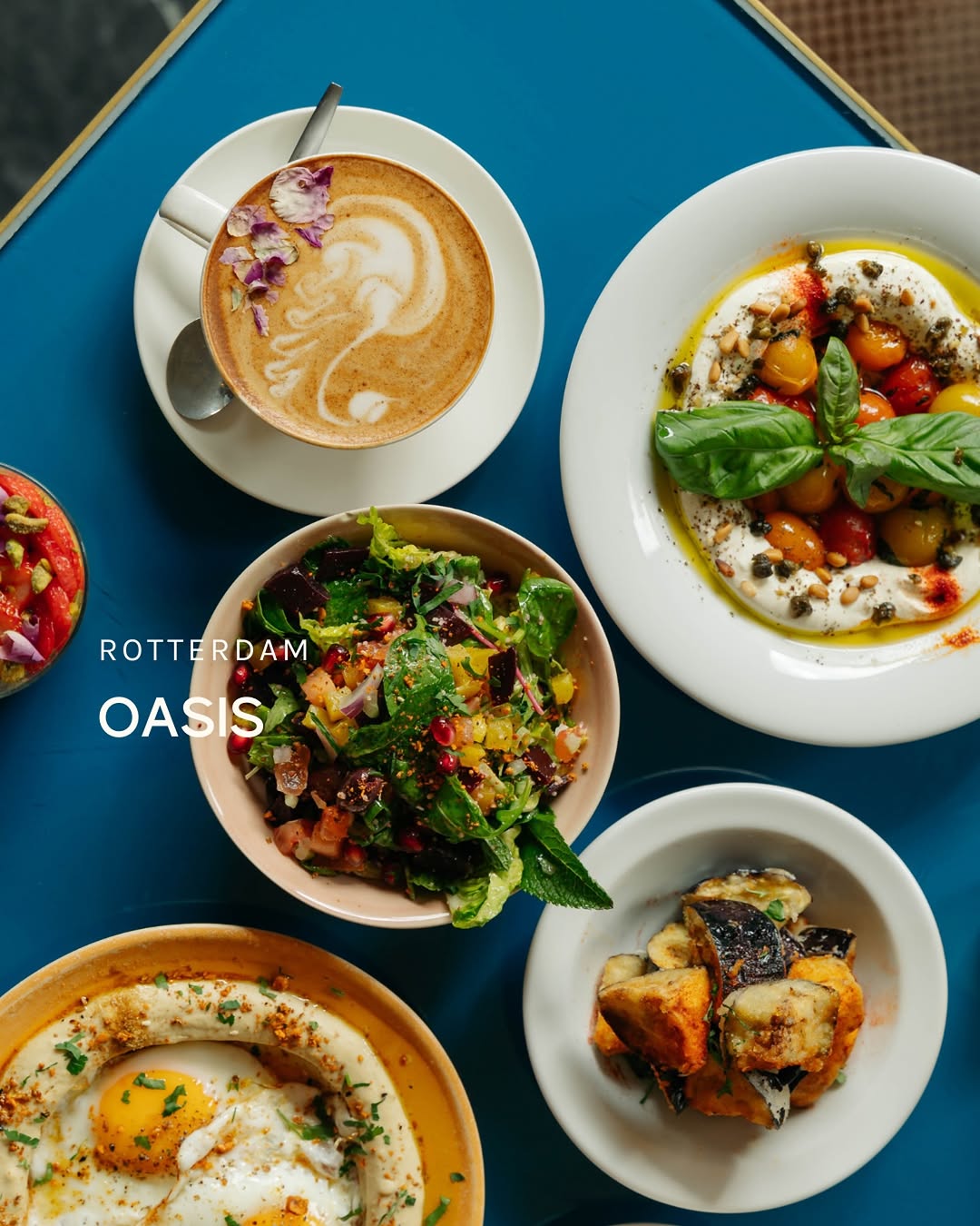 Oasis Rotterdam (formerly Mecca Oasis)